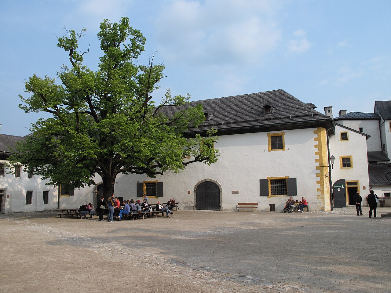 The large old tree in the inner courtyard in fresh spring leaf, in front of a long white building with yellow corner quoins; visitors at picnic tables