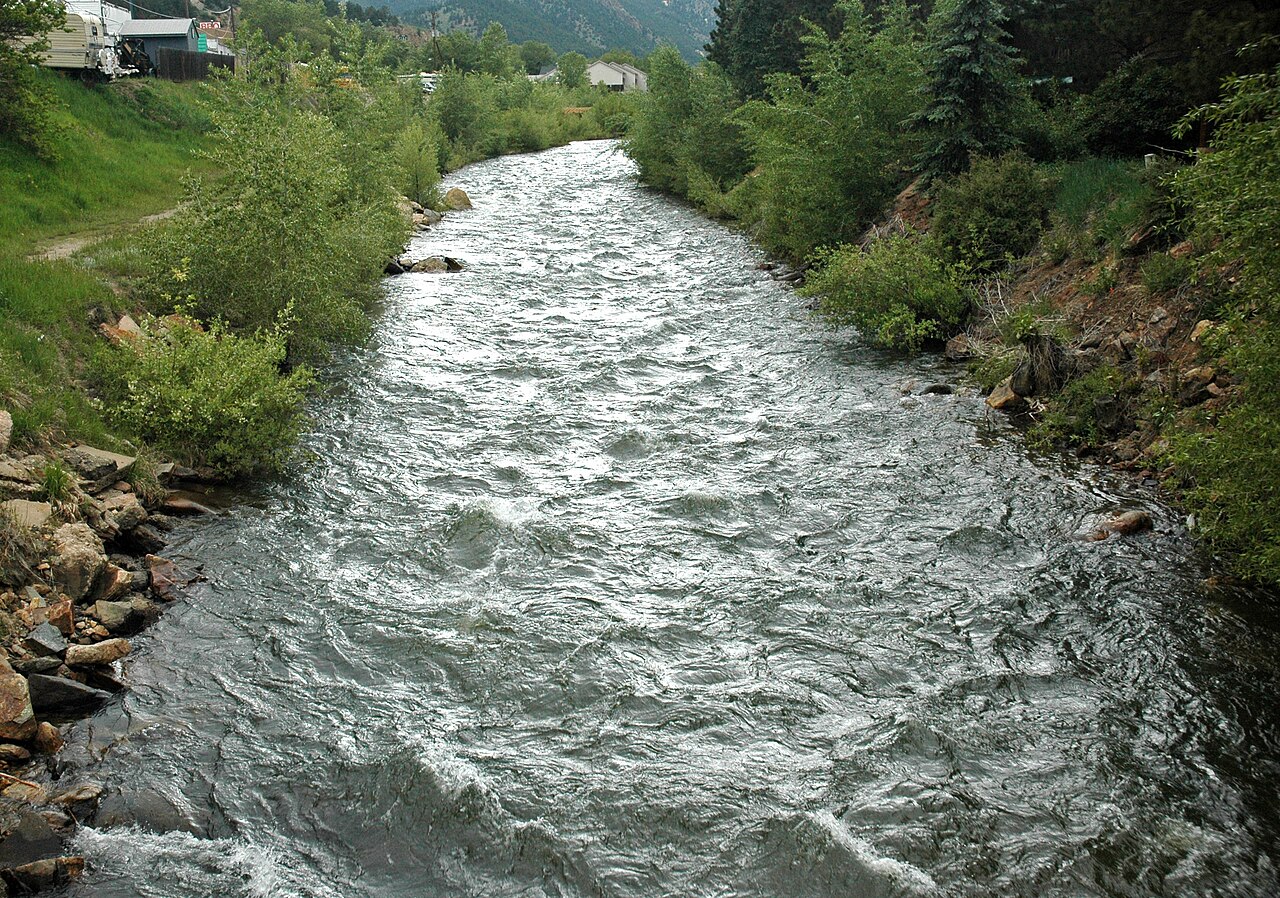A fast, clear mountain creek between boulders and willows.