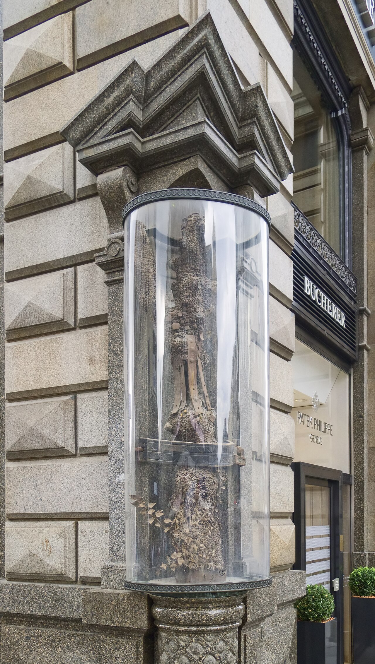 A tree trunk covered in nails, standing upright behind clear glass in a stone niche.